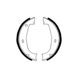 Set saboti frana mana Delphi LS1851, parte montare : Punte Spate