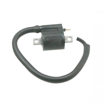 Bobina inductie Aprilia/MBK/Yamaha Cod Produs: MX_NEW 246010040RM foto