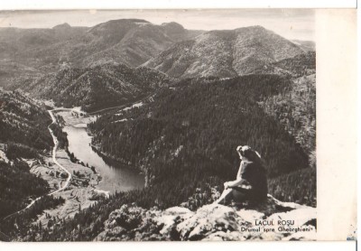 CPIB 15809 CARTE POSTALA - LACUL ROSU. DRUM SPRE GHEORGHIENI, RPR foto