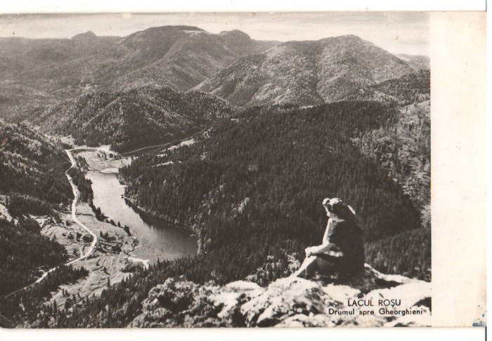 CPIB 15809 CARTE POSTALA - LACUL ROSU. DRUM SPRE GHEORGHIENI, RPR