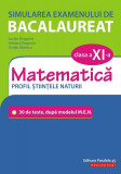 Simularea examenului de bacalaureat. Matematica. Clasa a XI-a | Ovidiu Badescu, Lucian Dragomir, Adriana Dragomir, Paralela 45