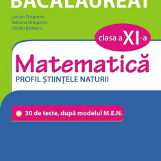 Simularea examenului de bacalaureat. Matematica. Clasa a XI-a | Ovidiu Badescu, Lucian Dragomir, Adriana Dragomir