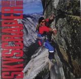 David Lee Roth &ndash; Skyscraper, LP, US, 1988, stare excelenta (VG+)