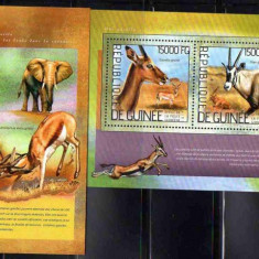 GUINEEA 2014, Fauna, serie neuzata, MNH