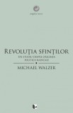 Revolutia sfintilor. Un studiu despre originea politicii radicale