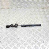 Amortizor capota st&acirc;nga față TESLA MODEL 3 2020 OEM: 1091472-00-B 12561054