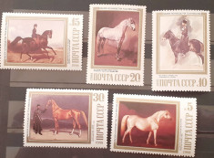 Rusia 1988 cai , pictura , arta serie 5v. mnh foto