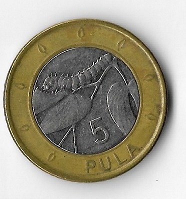 Moneda 5 pula 2013 - Botswana
