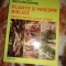 Plante si miresme biblice / hrana pentrup si suflet - Ovidiu Bojor / 318 pagini