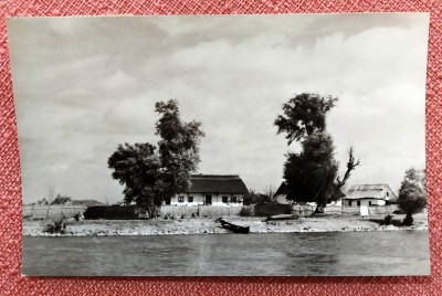 Delta Dunarii. Case pescaresti la Crisan - Circulata, 1969 foto