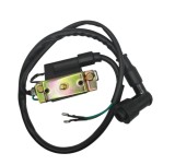 Cumpara ieftin Bobina Inductie ATV 4 Timpi 50cc 110cc 125cc Oem