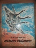 Glasurile pamintului- I. Sokolov-Mikitov