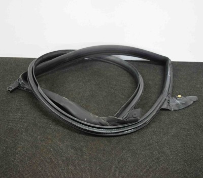 Garnitura ușă dreapta spate TESLA MODEL 3 2018 OEM: 1090510-50-E foto