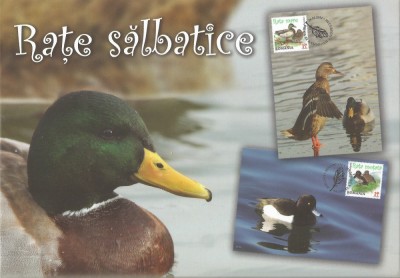 Romania, LP 2018/2014, Rate salbatice, c.p.i. maxime in etui foto