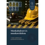 Munkabaleset &eacute;s munkav&eacute;delem - A jogi szab&aacute;lyoz&aacute;s gyakorlati k&eacute;zik&ouml;nyve - Dr. T&oacute;th Kinga