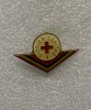 Insigna pionier sanitar clasa I