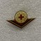 Insigna pionier sanitar clasa I