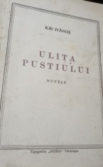 ULITA PUSTIULUI ILIE IVANUS ,TIMISOARA BANAT