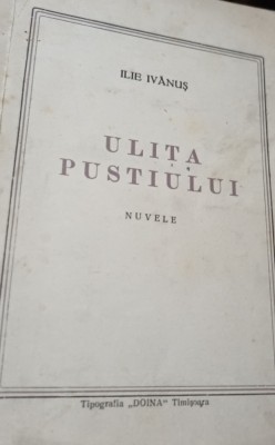 ULITA PUSTIULUI ILIE IVANUS ,TIMISOARA BANAT foto