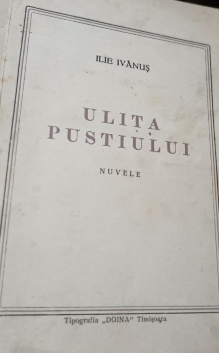 ULITA PUSTIULUI ILIE IVANUS ,TIMISOARA BANAT