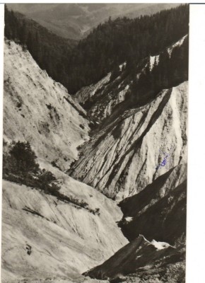 CPIB 18205 CARTE POSTALA - MUNTII APUSENI. VALEA SEACA, RPR foto