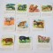 Lot cartonase Animale din Continente