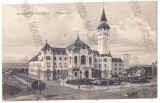 2480 - TARGU MURES, market, Romania - old postcard - used - 1909, Circulata, Printata