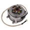 Electromotor Pocket Bike Cod Produs: MX_NEW PKB2101