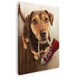 Tablou caine cu tenis in gura Tablou canvas pe panza CU RAMA 70x100 cm