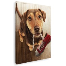 Tablou caine cu tenis in gura Tablou canvas pe panza CU RAMA 20x30 cm