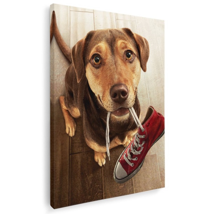 Tablou caine cu tenis in gura Tablou canvas pe panza CU RAMA 60x90 cm