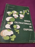 Cumpara ieftin GHIDUL CULTIVATORULUI DE CIUPERCI- DR.N.MATEESCU