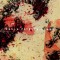 CD Slayer - World Painted Blood 2009