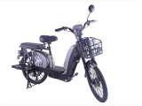 Bicicleta Electrica ZT-01 Motor 480W 48V 12Ah Viteza 25 Km/h Autonomie 40Km Nu necesita permis - Argintiu