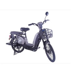 Bicicleta Electrica ZT-01 Motor 480W 48V 12Ah Viteza 25 Km/h Autonomie 40Km Nu necesita permis - Argintiu