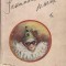 Insemnarile unei paiate - Alice P. Sturdza