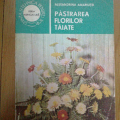 h1b Pastrarea florilor taiate - Dr. Ing. Alexandrina Amariutei