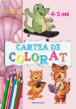 Cumpara ieftin Cartea de colorat 4-5 ani, Ars Libri