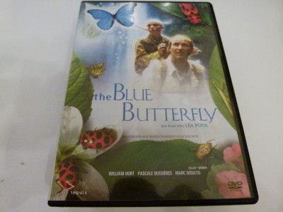 The blue butterfly foto