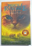 PISICILE RAZBOINICE , VOLUMUL 28 : CODUL INCALTAT , DEZGHETUL TACUT de ERIN HUNTER , 2025