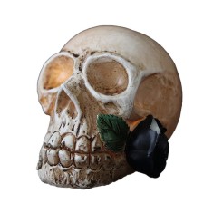 Decoratiune LED pentru petrecere, 7 x 6..5 x 5.5, model craniu, rasina, multicolor