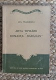 ARTA TIPIZARII IN ROMANUL &quot; BARAGAN &quot; - ION MIHAILEANU