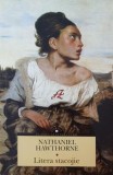Litera stacojie - Nathaniel Hawthorne