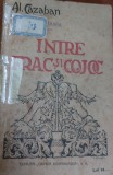 INTRE FRAC SI COJOC AL CAZABAN