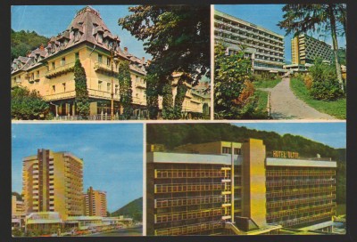 CPIB 17977 CARTE POSTALA - CALIMANESTI, CACIULATA, MOZAIC foto