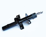 Amortizor Spate G. 50609 NGH 02.01.112