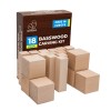 Set 18 Blocuri Lemn Tei BeaverCraft BW18, 100x25x25mm &amp; 50x50x50mm, Sculptura, Dălți, Lemn Moale, Cutie Depozitare, Europa