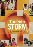 The Quiet Storm: A Historical and Cultural Analysis of the Power, Passion, and Pain of R&amp;amp;B Groups