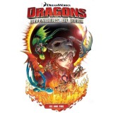 Dragons: Defenders of Berk: Vol. 2