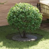 Ghiveci Ceramic Verde măsliniu Ceramică Mare Jardiniere